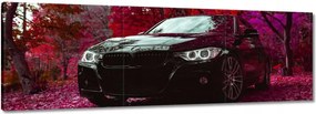 Vászonkép 90x30 Fekete Bmw Ősz