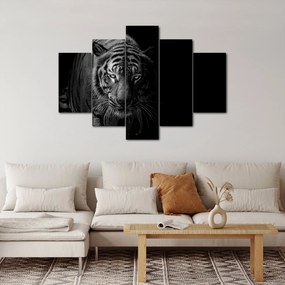 Egy vadtigris képe (150x105 cm)