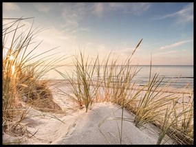 Poszter 21x30 fotó táj tengerpart homokdűne