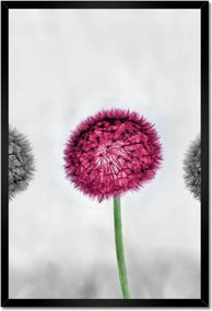 Poszter keretben 40x60 Rózsaszín pitypang virág