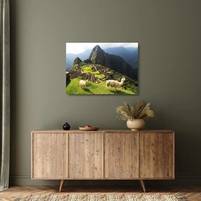 Üveg kép - Machu Picchu (70x50 cm)