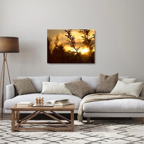 Kép - A nap lenyugszik a fák mögött (üvegen) (70x50 cm)