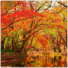 Poszterek 70x70 Őszi tájkép folyóval