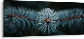 Egy tűlevelű fa gallyának képe (120x50 cm)