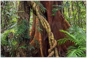 Poszterek 120x80 Tájkép Látvány