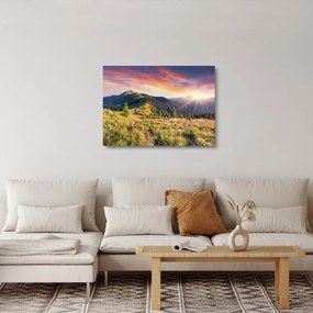Üveg kép - Erdei táj (70x50 cm)