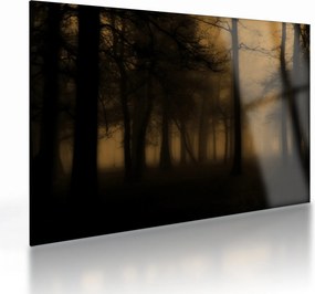 Üveg kép - Sötét erdő (70x50 cm)