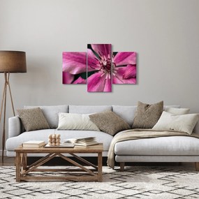 Rózsaszín flamingóvirág képe (90x60 cm)