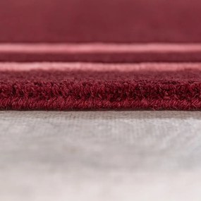 Borvörös kézi szövésű gyapjú szőnyeg 200x290 cm Gatsby – Flair Rugs
