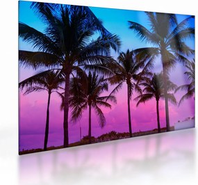 Kép - Pálmafák Miamiban (üvegen) (70x50 cm)