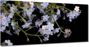 Vászonkép 180x90 Virágok Nefelejcs