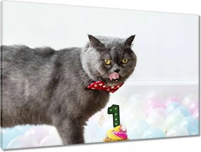 Våszonkép 90x60 Cica