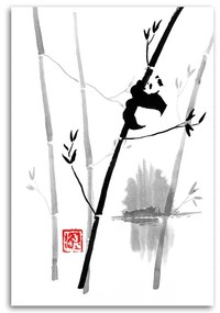 Gario Vászonkép Panda a bambuszon - Péchane Méret: 80 x 120 cm