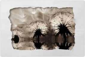 Poszterek 120x80 Pitypangok szépia papírsárkányok