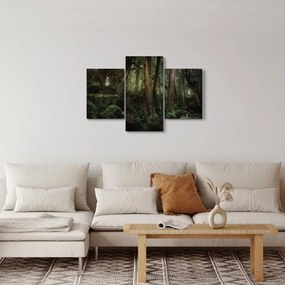 Kép - Titokzatos erdő (90x60 cm)