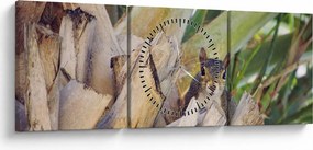 Mókus képe a fán (órával) (90x30 cm)