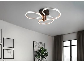 Fekete-ezüstszínű LED dimmelhető mennyezeti lámpa Caruso – Trio