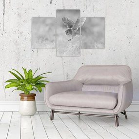 Kép - Bagoly, fekete-fehér (90x60 cm)