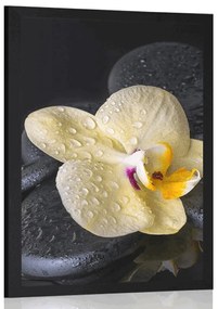 Poszter Zen kövek sárga orchideával