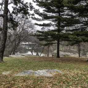 Poszter 80x80cm Central Park, New York, Assaf Frank