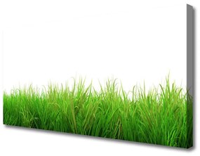 Vászonkép falra Grass Nature Plant 100x50 cm