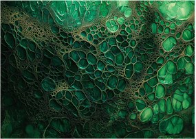Üveg kép - Zöld mikroszkópos Üveg kép (70x50 cm)