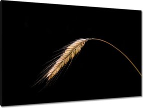 Vászonkép 120x80 Kalász rozs gabona arany