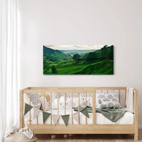 Kép - Teaültetvények Malajziában (120x50 cm)
