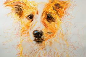 Poszter 60x40cm Bájos vendég