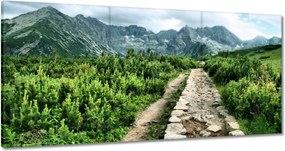 Vászonkép 120x60 Kő út Tátra