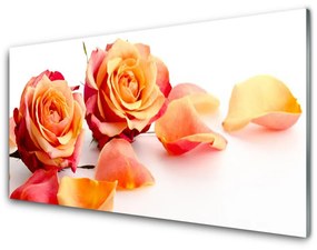 Akrilkép Rózsa virágok Plant 120x60 cm