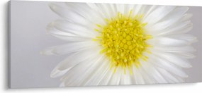 Kép - Margarita (120x50 cm)