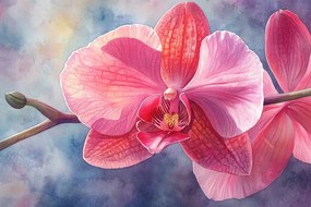 Vászonkép Canvas Grafika Orchidea Virág Rózsaszín Orchidea 60x40