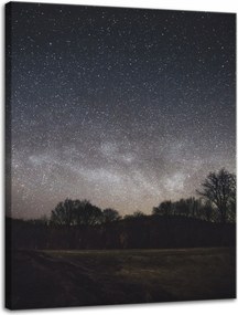 Vászonkép Kozmosz Csillagos égbolt 30x40