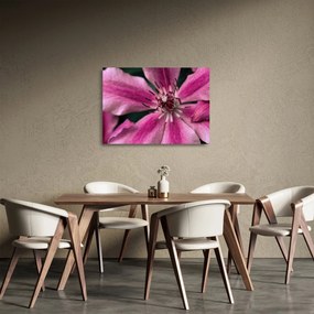 Rózsaszín flamingóvirág képe (üvegen) (70x50 cm)