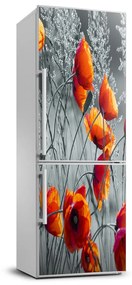 Hűtő matrica Vadvirágok pipacsok FridgeStick-70x190-f-102051546