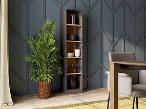 R50 polcos szekrény, antracit-tölgy