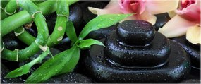 Kép - Kövek és orchideák (120x50 cm)