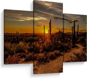 Kép - A nap vége az arizonai sivatagban (90x60 cm)