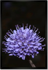 Poszterek keretben 40x60 Nőnap Ajándék Love