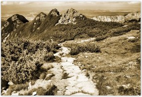 Poszterek 185x125 Tátra Lengyel hegyek Kilátás