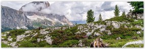 Poszterek 200x66 Bárány a hegyekben Kilátás
