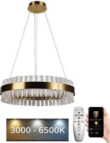 Brilagi - LED dimmelhető kristály csillár acélhuzalon HALO LED/40W/230V + távirányító