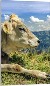 Üveg Vágódeszka 30x52 Tehén a Konyhába