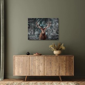 Kép - Egy szarvas fensége (üvegen) (70x50 cm)