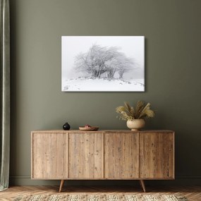 Kép - fehér tél (90x60 cm)