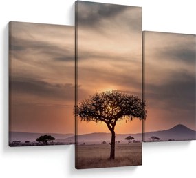 Naplemente képe Tanzániában (90x60 cm)