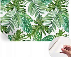 Matt öntapadós fotótapéta Falra Egzotikus levelek 416x254 cm