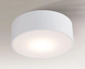 ANTIGO 7030 ZAMA Hengeres Mennyezeti Lámpa Fehér GX53 IP20