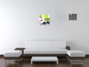 Gario Vászonkép Fehér orchidea és kövek Méret: 100 x 70 cm